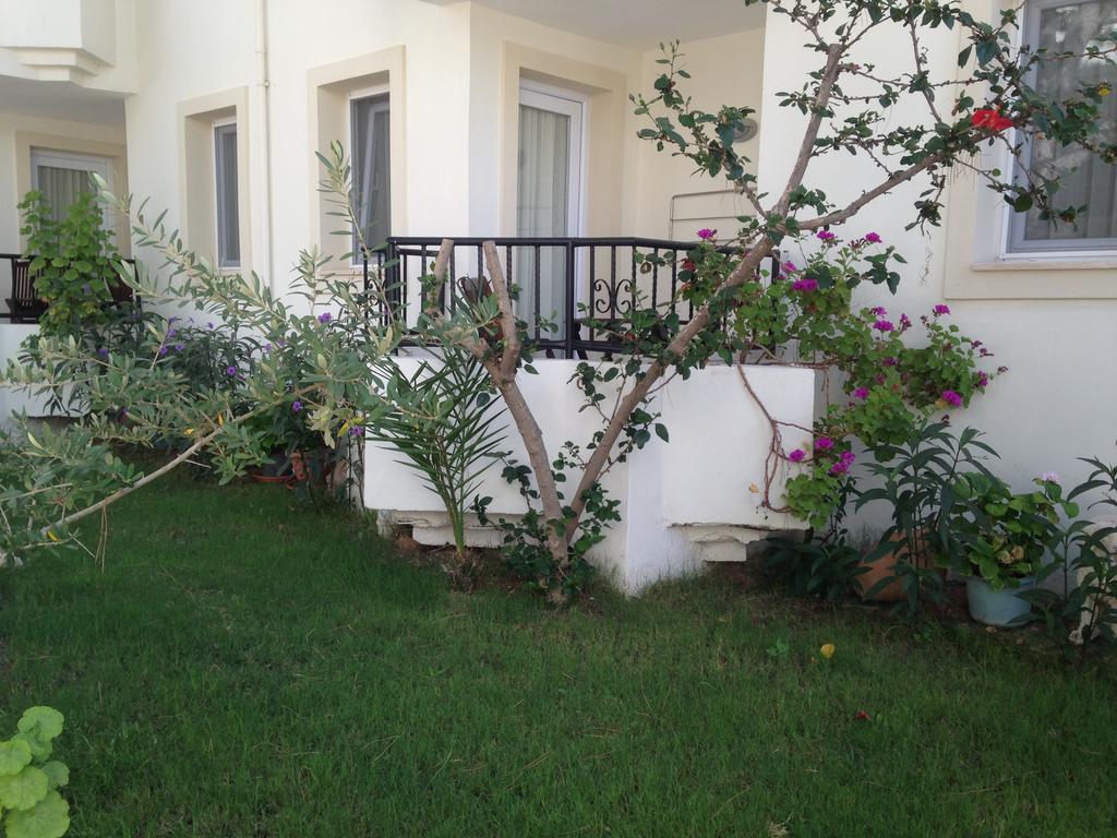 Acelya Hotel Ortakent Extérieur photo